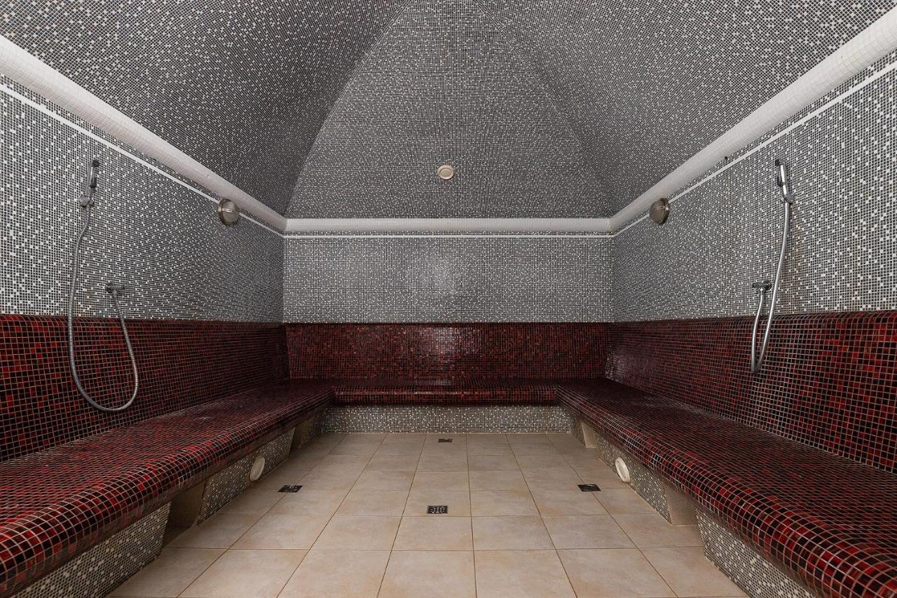 Карпатська Ружа Plave Exterior photo